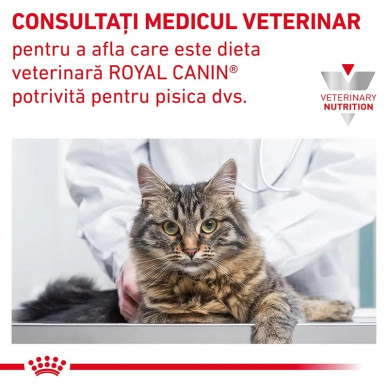Royal Canin Veterinary Gastrointestinal Cat – Hrană Umedă pentru Pisici cu Tulburări Digestive, în Sos, 85 g
